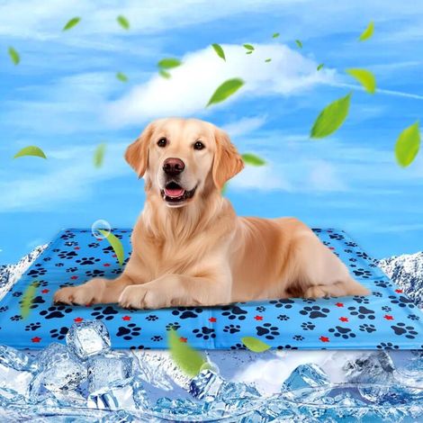 Tapis Rafraichissant Chien & Chat, 90×60cm Coussin Rafraichissant pour Chien, Tapis Refrigerant pour Animaux, Étanche et Facile à Nettoyer, Convient aux Petits et Grands Chien de Compagnie (1/5)