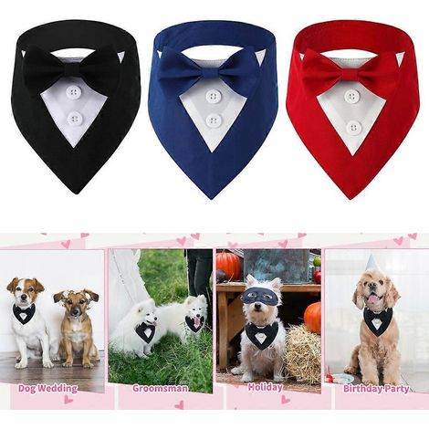 Collier pour chat avec nœud papillon pour chiennes de petite et moyenne taille, costume de mariage pour chat - Taille M - Noir (1/4)