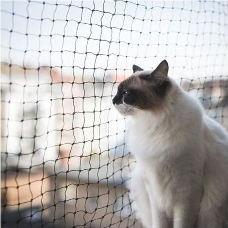 Filet de Protection pour Chat, 6x3m, Renforcé, Résistant aux Intempéries, Sécurise Balcon, Fenêtres et Terrasses (1/4)