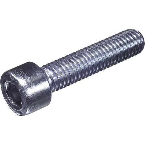 Vite dresselhaus zylinderschraube zincata 10 mm