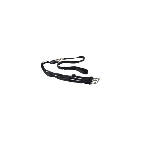 Laisse 3 en 1 anti-embrouillement pour chien, noir (1/5)