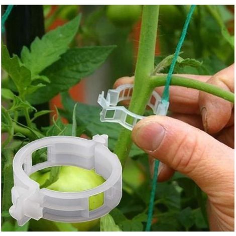 Plant Clips - SH - 100pcs - Transparent - Growth Support - Reusable (1/4)