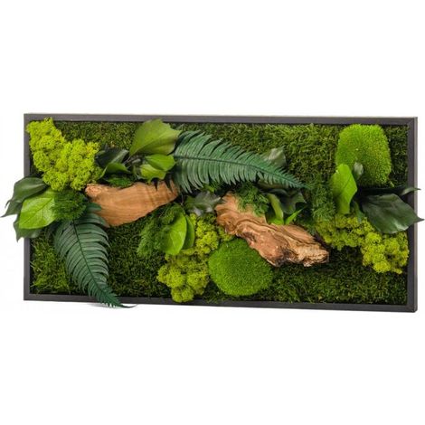 Tableau végétal mural stabilisé 57cm – Plantes stabilisées sans entretien – Cadre noir en bois – Accroche murale horizontale et verticale – Naturalys (1/6)