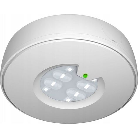 Innenleuchte Eaton roundtech efocus at 200 lm IP44 (1/2)