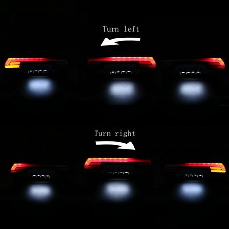 LED rear light with license plate bracket for Triumph Street Twin 900 motorcycles from 2016 to 2020. (1/5)