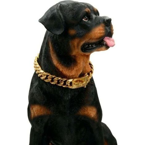Goldenes Hundehalsband mit sicherem Schnallenverschluss, bissfest (Gold, 45,7 cm) (1/5)