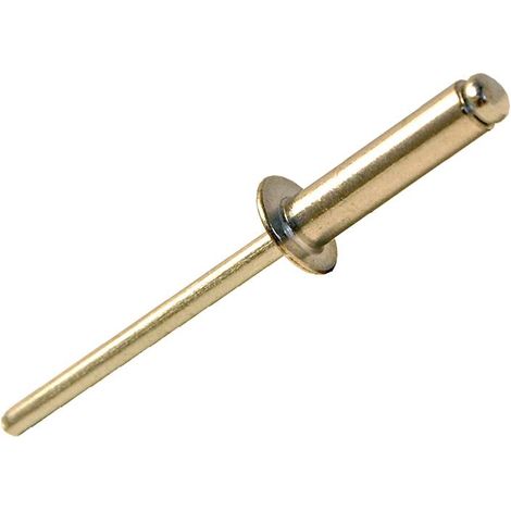 ForgeFix 100RIV3212 Aluminium Rivets 3.2 x 12mm Bag of 100 FORRIV3212M (1/3)
