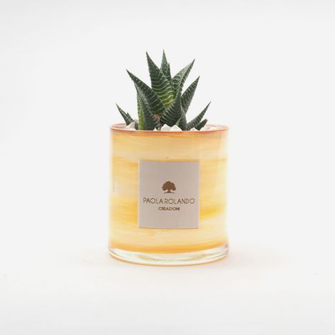 Pianta succulenta in vaso di vetro rotondo decorato a mano Marble H 10 - Arancione