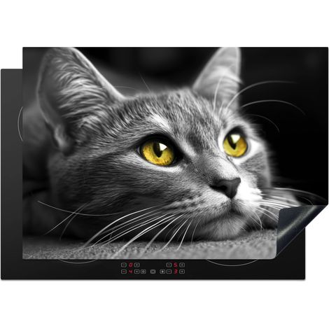 PROTEZIONE PER PIANO COTTURA A INDUZIONE Gatto - Grigio - Animali - Gatto 75x52 (1/5)