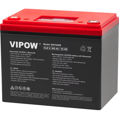 Batteria LiFePO4 12V 100Ah Bluetooth LCD Vipow (1/4)
