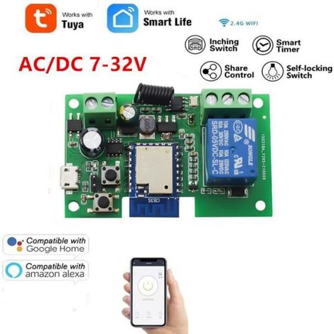 Interrupteur Sans Fil - Compatible Tuya Smart Life - Commande Vocale Alexa Google Home - Alimentation 7-32 V RF - Pour Porte De Garage - 1 Pièce