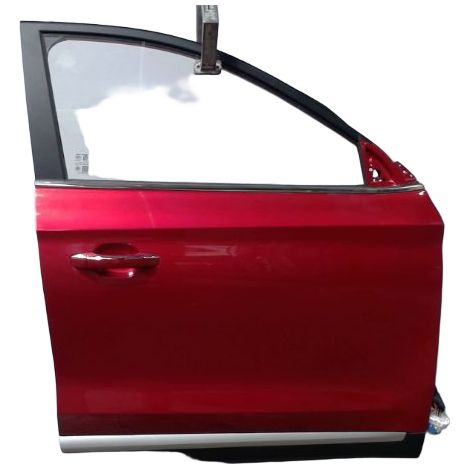 Porte Avant Droit M.g. Zs