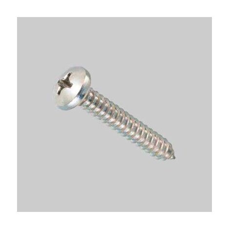 VITE AUTOFILETTANTE TC ZINCATA 2,9x9,5 mm - 1000 pezzi- AMBROVIT
