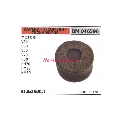 Filtro aria ASPERA motore rasaerba tosaerba tagliaerba V 40 50 60 70 046596
