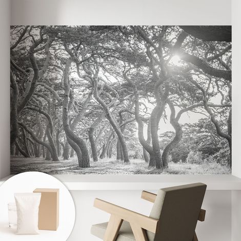 Papier peint intissé à motifs décoratifs pour salon chambre et bureau Décoration murale élégante avec colle Forêt atmosphérique 104x70 cm (1/5)