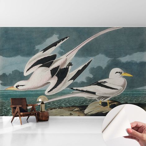 Papier peint autocollant avec imprimé pour décoration intérieure pour rénovation a motif Oiseaux au bord de la mer 416x254 cm (1/5)