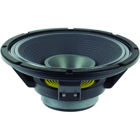 Altoparlante 12in WIDE RANGE 250W 12GA50