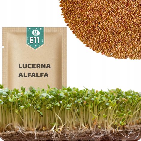 51Seed E11 SEMILLAS DE GERMINADOS - ALFALFA 20G