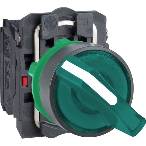 Testa selettore luminoso verde Ø22 - 2 pos. - 240v - 1NO+1NC - XB5AK123M5