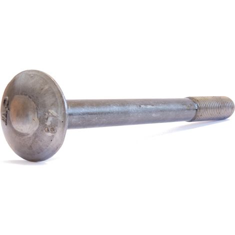 Reidl DIN 603 Flachrundschr. Vierkantansatz M 10 x 160 4.6 blank, mit Mutter (1/3)