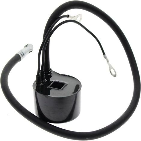 Bobine d'allumage haute tension compatible avec 220435-S. Convient aux modèles K90 et K91. (1/4)