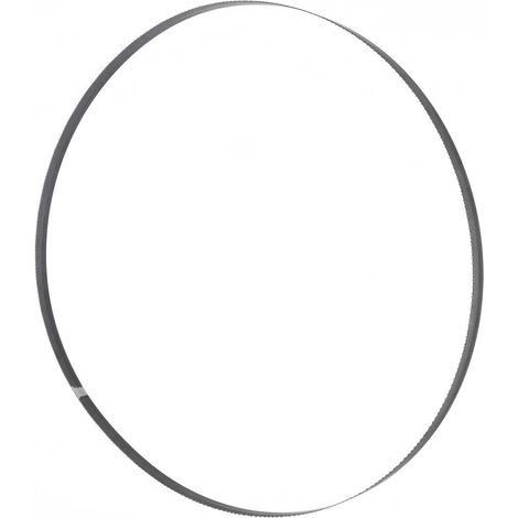 Lama da sega a nastro 2950 x 16 x 0,5 mm T 6 mm Holzmann Maschinen BSB400B15