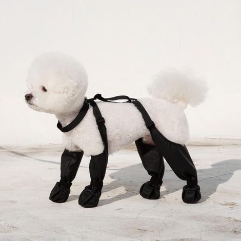 Taglia S - Copriscarpe per cani impermeabili e antiscivolo - Copriscarpe regolabili per animali domestici - Coprizampe per cani - Protezioni per zampe di cani di piccola e media taglia - Adatti per pa