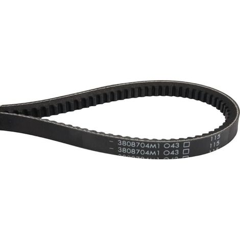 Courroie trapézoïdale MASSEY FERGUSON 3808704M1