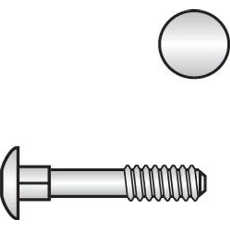 Reidl DIN 603 Flachrundschr. Vierkantansatz M 6 x 50 Messing blank, ohne Mutter (1/2)