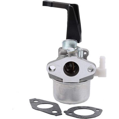 Carburateur universel compatible avec moteurs Briggs & Stratton modèles 696065, 697422 et 110402-0206-E1 – Remplacement direct pour tondeuses, motoculteurs et générateurs