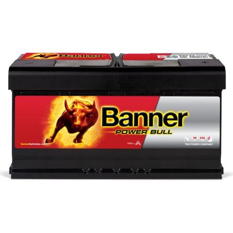 Batterie voiture 12V 95Ah 780A – P9533 – Technologie plomb calcium – Puissance de démarrage fiable – Pour voitures et camionnettes – Banner