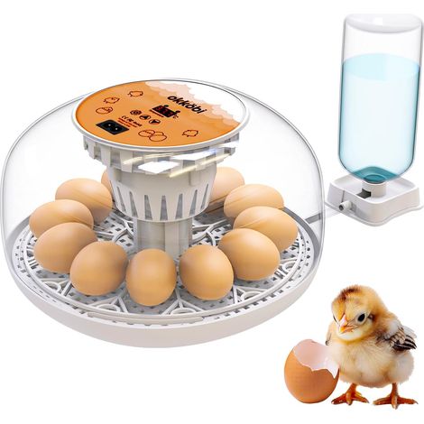 M12 Couveuse Oeuf Automatique - Contrôle Humidité, Réglage Température, Couveuse Automatique 12/24 œufs - Incubateur Auto - Vue 360°, facile à utiliser et nettoyer - Blanc et Orange (1/5)