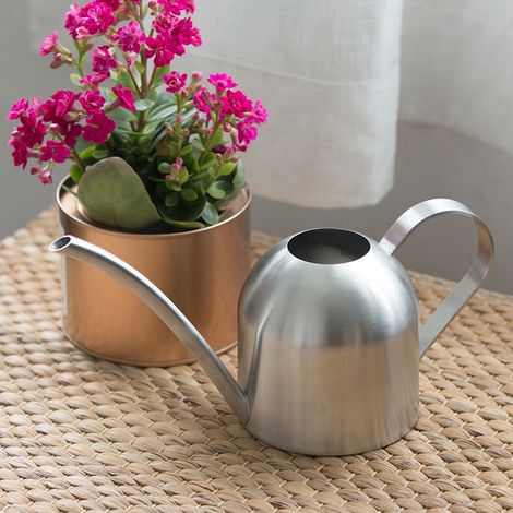 Arrosoir d'intérieur/extérieur en acier inoxydable de 1000 ml avec long bec verseur pour plantes et fleurs de jardin. (1/5)