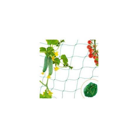 Filet de protection pour jardin, filet anti-oiseaux et anti-chats, maille fine 1,8 × 1,8 m, idéal pour légumes, fruits, plantes et bassins, résistant et polyvalent (1/5)