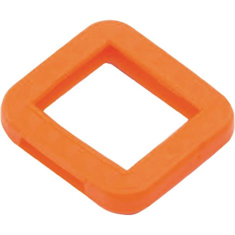 Anillo de identificación de llave Llave BKS verde (Por 100)