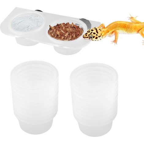 Napf Für Reptilien Reptilien Wasserspender Für Schlangen