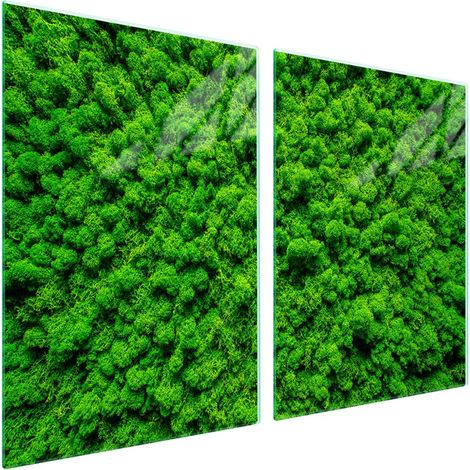 Plaque de protection en verre pour poêle 2x45x52 Couleur (1/5)