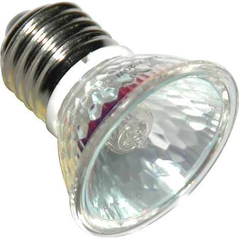 Lucky Reptile - Halogen Sun Mini Doppelpackung