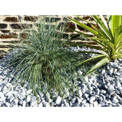 Kieselstein Hellgrau 12-24 - Pack 20 M² - 40 Säcke - 800 kg (1/5)