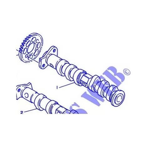 Yamaha 4NX-12171-00 - 1 x Árbol de levas original 1 - TDM 850 1996/01