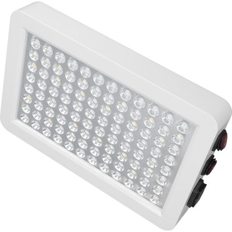Lampe de croissance LED intelligente haute puissance pour plantes succulentes en serre, 100-277 V CA, blanche, prise australienne, grand format (1/5)