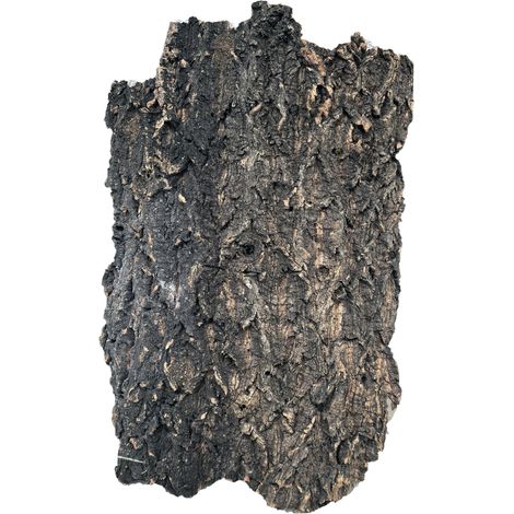 PROGROW KORKINDE 40-50CM 1KG