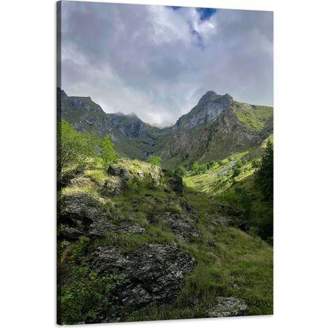 Leinwanddruck Natur Überwucherte Berge 60x90 cm