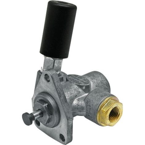 CASE MF STEYR Förderpumpe 3637646M91 162000080825 162000080710