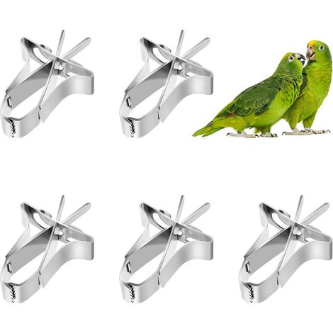Lot de 5 mangeoires à oiseaux en acier inoxydable Support à clip pour seiche, jouet de recherche de nourriture, accessoires de cage pour hamster, calopsitte, perroquet et petits animaux (1/5)