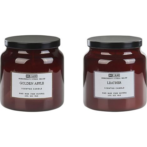 Set of 2 Scented Candles ABSOLUTE ALCHEMY Soy Wax Fruity Notes Fresh Notes (1/5)