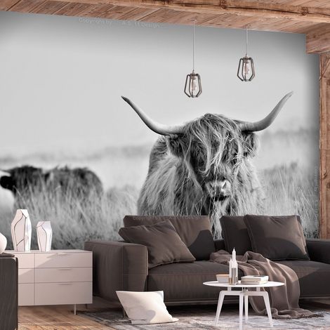 Papier peint adhésif Highland Cattle - 147 x 105 cm (1/3)