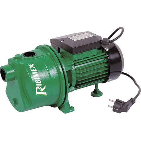 Pompe de surface jet61 600W corps fonte - RIBIMEX
