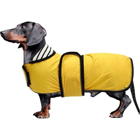 Imperméable pour chien TuseRxln - Imperméable et coupe-vent avec bandes réfléchissantes - 1 pièce - Pour teckels et petits chiens - Jaune (1/5)