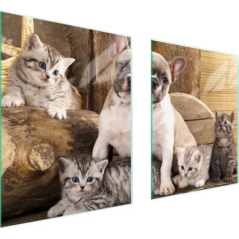 GLASSCHUTZPLATTE FÜR HERD 85x52 HUND (1/5)